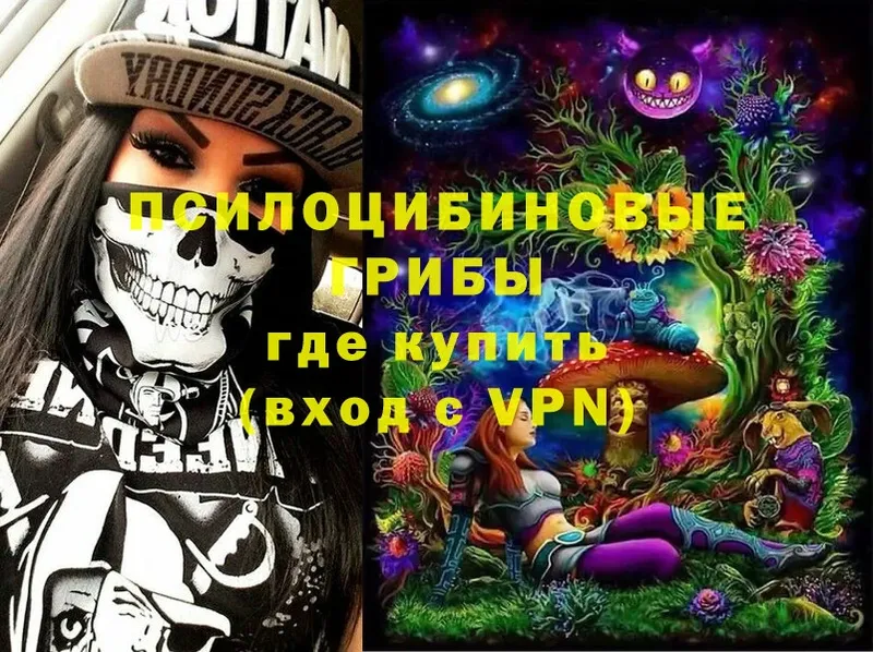 сколько стоит  Черемхово  Галлюциногенные грибы Psilocybe 